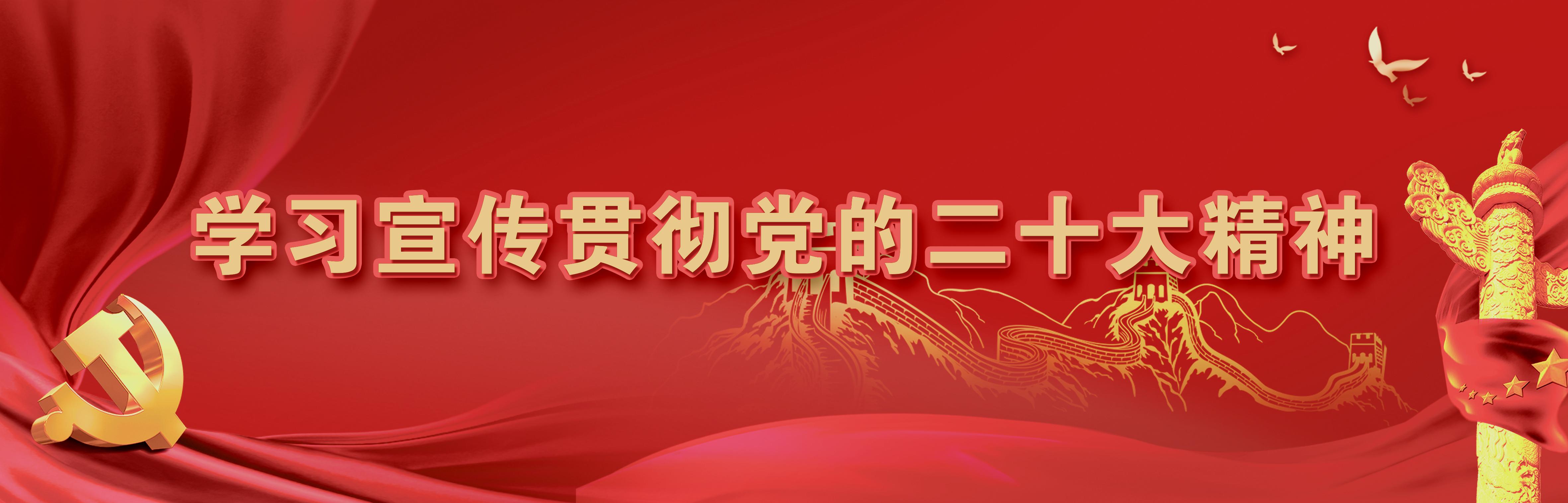 党的二十大